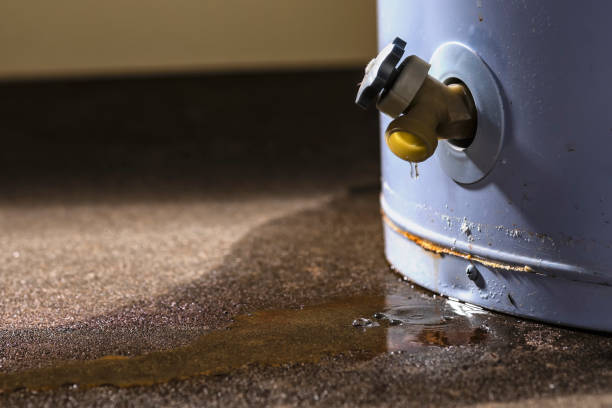 Water damage restoration mold remediation in St Anthony, MN