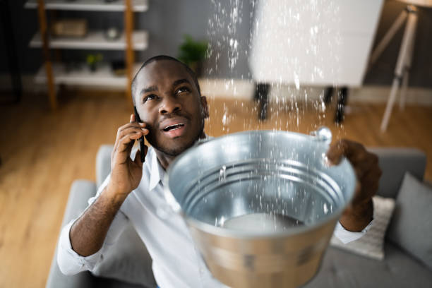 Best Water damage cleanup near me  in St Anthony, MN