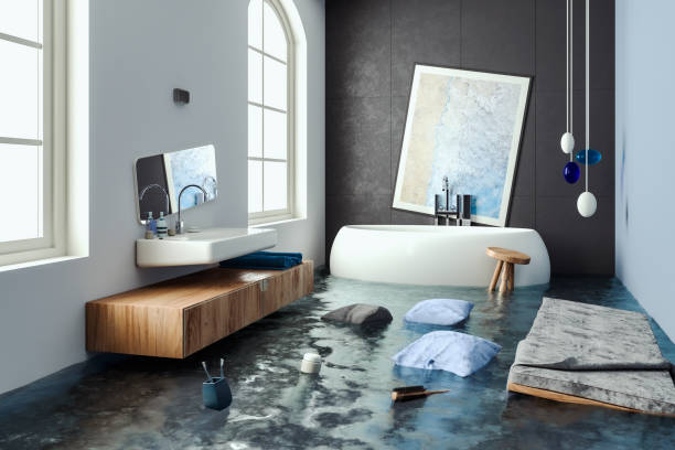 Best Sewage cleanup and water damage restoration  in St Anthony, MN