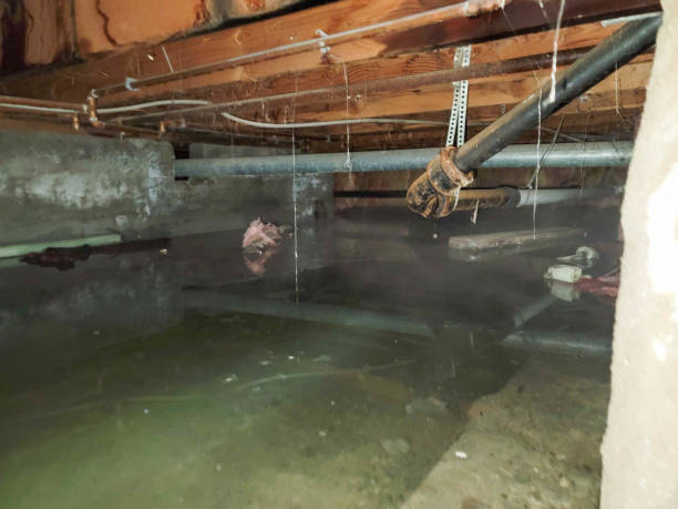Best Commercial water damage restoration  in St Anthony, MN