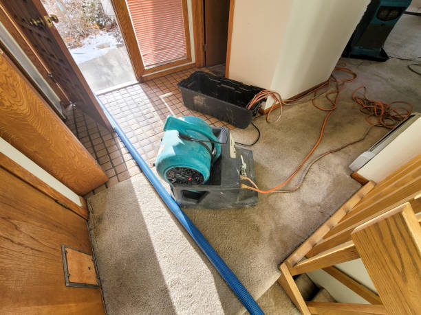St Anthony, MN Water damage restoration Company