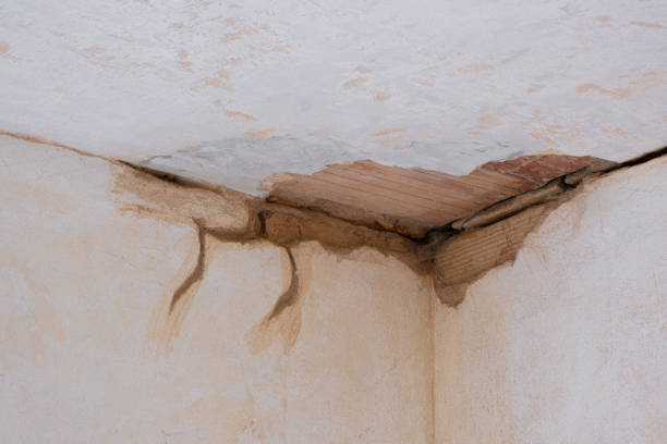 Best Ceiling water damage repair  in St Anthony, MN