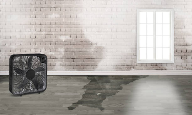 Best Residential water damage restoration  in St Anthony, MN