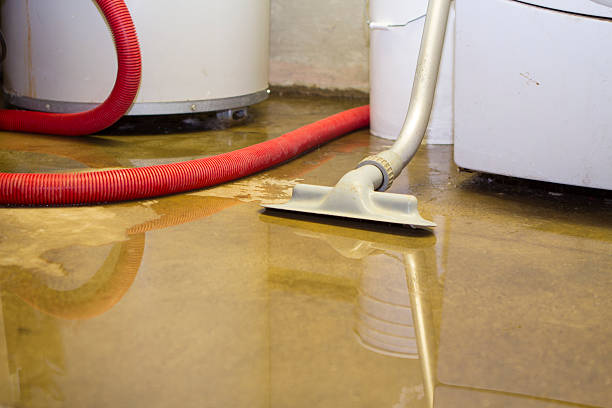 Best Water damage cleanup near me  in St Anthony, MN