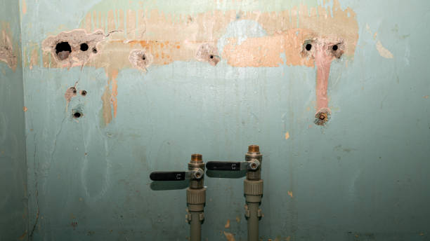 Best Water damage restoration near me  in St Anthony, MN