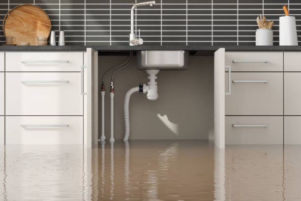 Best Water damage contractors near me  in St Anthony, MN