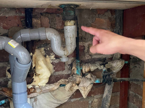 Best Flood damage cleanup  in St Anthony, MN